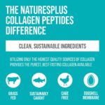 Natures Plus Collagen Peptides Chocolate Flavour – valuable building blocks for health